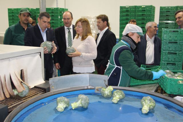 La empresa de agricultura ecológica Camposeven amplía sus instalaciones en San Pedro del Pinatar - 2, Foto 2