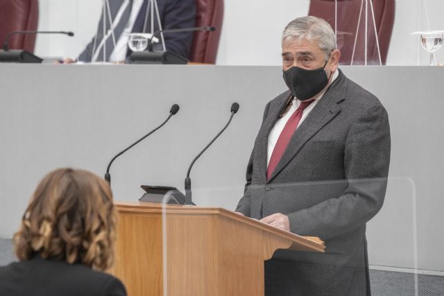 La Ley de Atención Temprana contempla la gratuidad del servicio y reducir las desigualdades territoriales - 1, Foto 1