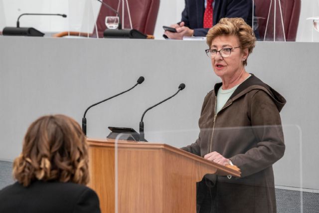 Maruja Pelegrín: La Ley de Atención Temprana es otro hito social del Gobierno de Fernando López Miras - 1, Foto 1