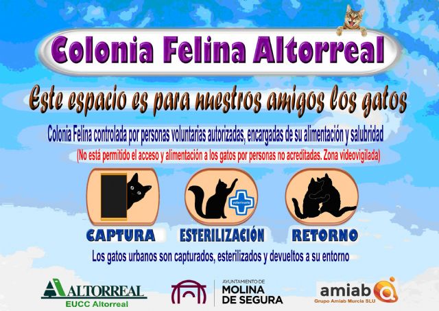El Ayuntamiento de Molina de Segura pone en marcha un proyecto piloto en la Colonia Felina Altorreal - 1, Foto 1