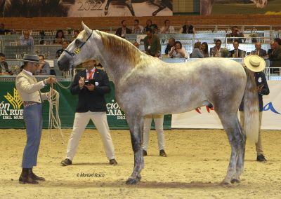Inaugurado el SICAB de 2022 en Sevilla con un intenso programa de actividades y competiciones - 2, Foto 2