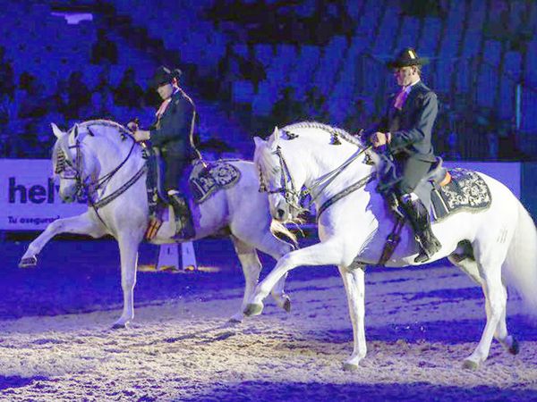 Inaugurado el SICAB de 2022 en Sevilla con un intenso programa de actividades y competiciones - 4, Foto 4