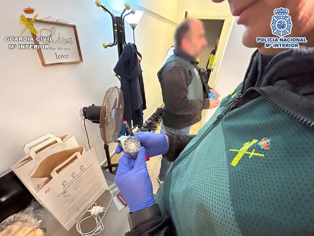 Desarticulada una organización criminal altamente especializada en la comisión de robos en viviendas - 1, Foto 1