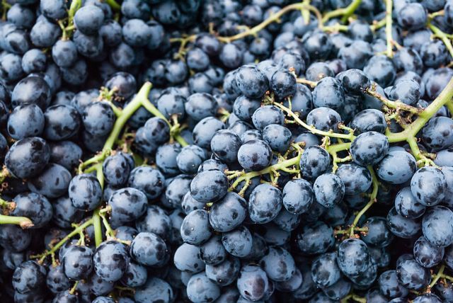Ampliado el plazo para contratar el seguro de uva de vino y cultivos herbáceos extensivos hasta el 27 de diciembre - 1, Foto 1