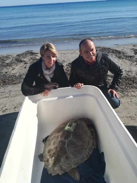 El Centro de Recuperación de Fauna Silvestre ha salvado y devuelto al medio natural a cuatro tortugas bobas en 2018 - 1, Foto 1