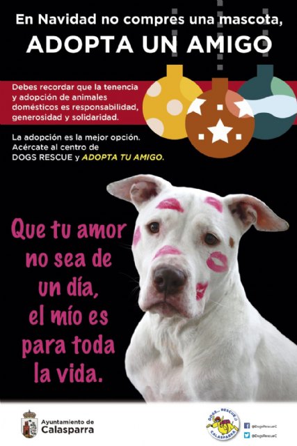 En Navidad no compres una mascota, ADOPTA UN AMIGO - 1, Foto 1