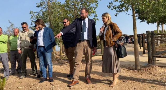 El Plan Foresta llega a Terra Natura con la plantación de más de 2.000 árboles - 1, Foto 1