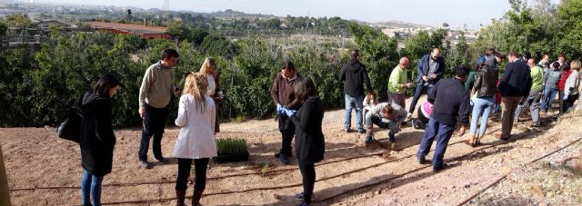 El Plan Foresta llega a Terra Natura con la plantación de más de 2.000 árboles - 2, Foto 2