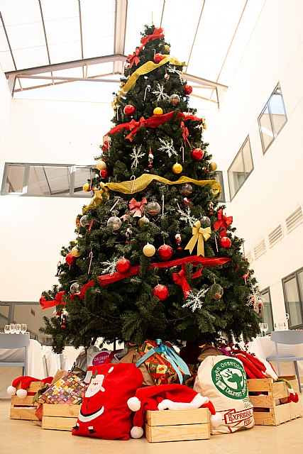 Una Navidad en compañía de la Fundación Juan Peregrín Mula - 3, Foto 3