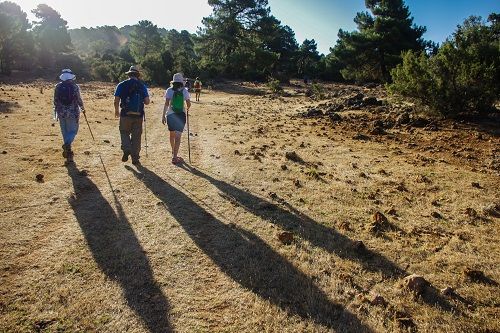 Los Carmelitas publican la segunda edición de la guía del Camino de San Juan de la Cruz - 1, Foto 1