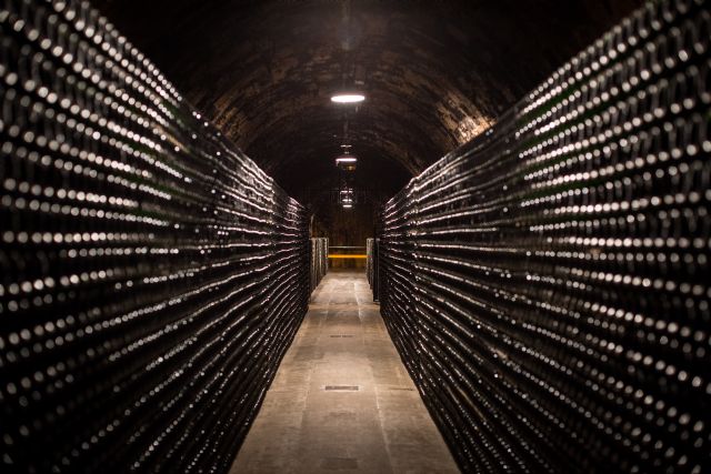 La D.O. Cava concluye un año histórico y prepara la implementación de un nuevo sistema de trazabilidad - 1, Foto 1