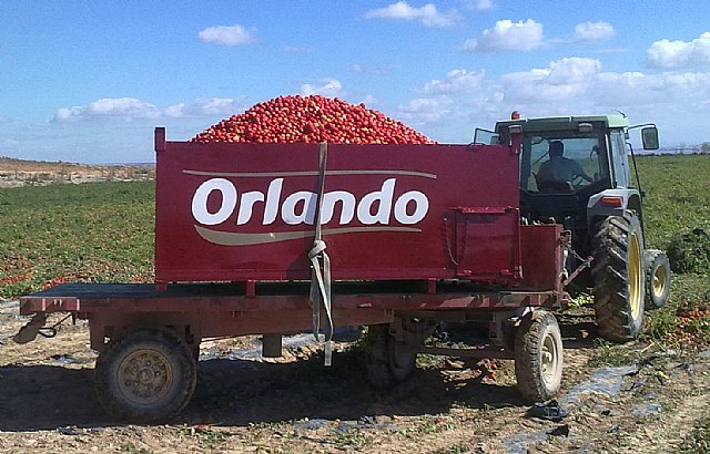 Orlando se une a `Te invito a cenar´ para crear el menú más especial y solidario de estas Navidades - 1, Foto 1