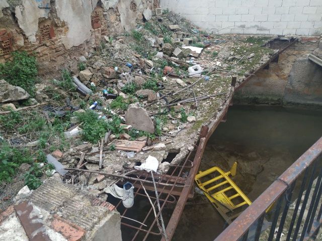 NOTA Denuncia en SEPRONA y CARM por peces muertos en acequia Alquibla - 2, Foto 2