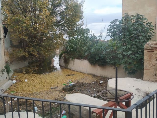 NOTA Denuncia en SEPRONA y CARM por peces muertos en acequia Alquibla - 3, Foto 3