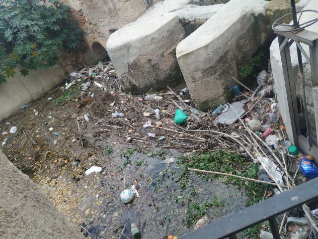 NOTA Denuncia en SEPRONA y CARM por peces muertos en acequia Alquibla - 5, Foto 5