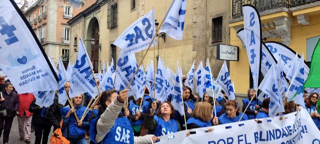 Sae ha sido el único sindicato sanitario en la manifestación por el blindaje de las pensiones en la Constitución - 3, Foto 3