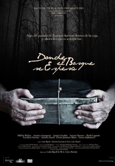 La Filmoteca de la Región acoge la presentación del largometraje 'Donde el bosque espesa' en su ciclo 'Realizadores murcianos' - 1, Foto 1