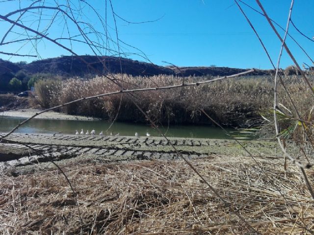 El PSOE denuncia ante el Seprona el 'destrozo' del cauce del río y lleva al Senado otra vez la restauración de los sillares de Contraparada - 3, Foto 3