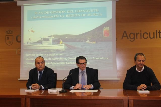 Agricultura trabaja con el sector pesquero para obtener el sello sostenible para el langostino y el chanquete - 1, Foto 1