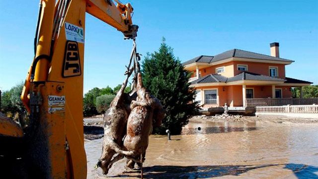 IU Lorca pide explicaciones sobre el colector de pluviales de Saprelorca cuya construcción debía haber empezado en 2018 - 1, Foto 1