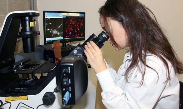 Dispositivos médicos biodegradables - 1, Foto 1