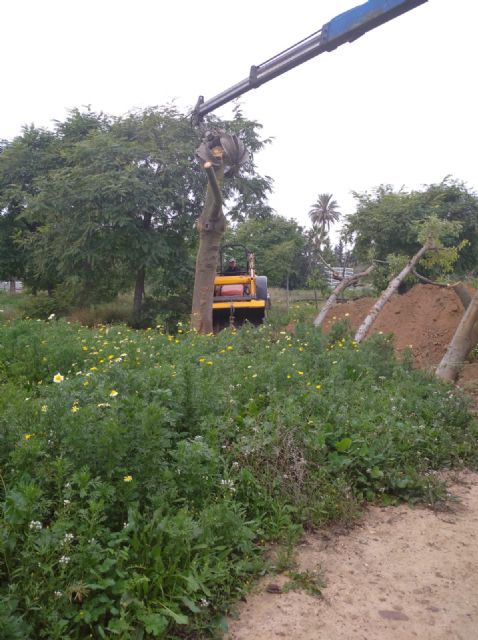 El Ayuntamiento continúa con la segunda fase de las obras de remodelación de la mediana de la Avenida Primero de Mayo - 3, Foto 3