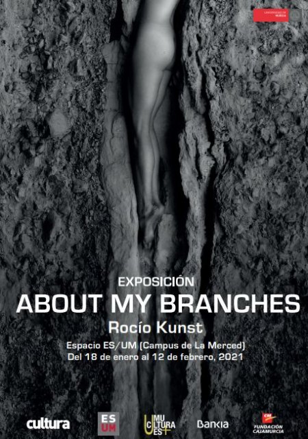 La artista murciana Rocío Kunst expone en la UMU una muestra que reflexiona sobre la relación humana con la naturaleza - 1, Foto 1