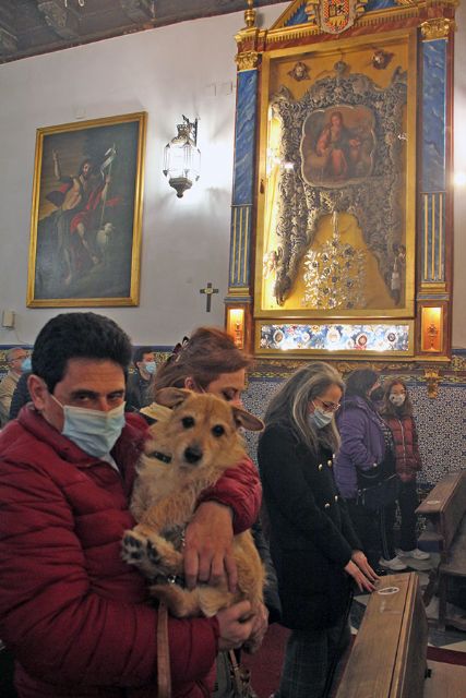 Fiesta de San Antonio Abad y bendición de animales en la Pastora y Santa Marina de Sevilla - 1, Foto 1