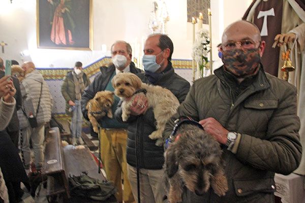 Fiesta de San Antonio Abad y bendición de animales en la Pastora y Santa Marina de Sevilla - 4, Foto 4