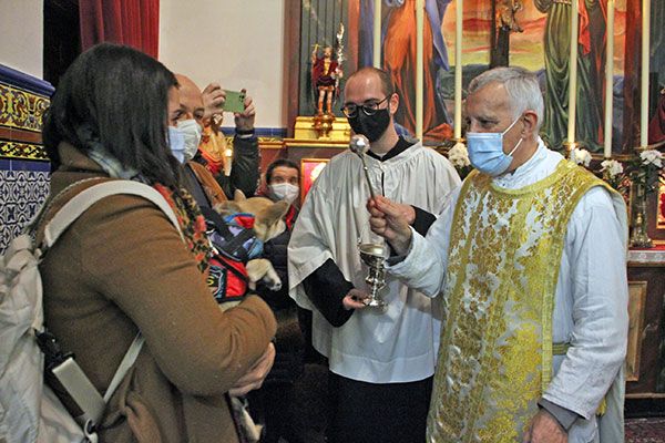 Fiesta de San Antonio Abad y bendición de animales en la Pastora y Santa Marina de Sevilla - 5, Foto 5