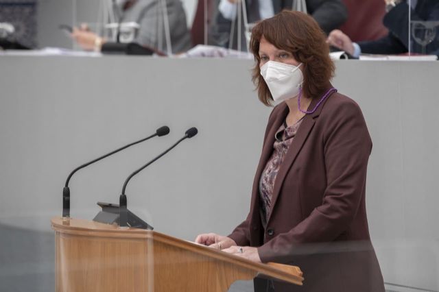 Podemos reclama menos favores fiscales a los súper ricos y más médicos y docentes en los Presupuestos Regionales - 1, Foto 1