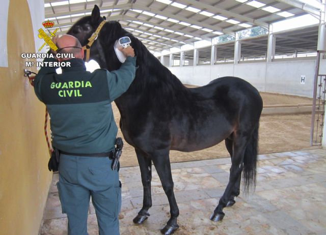 La Guardia Civil destapa las irregularidades presuntamente cometidas por una clínica veterinaria en la confección de pasaportes equinos - 1, Foto 1