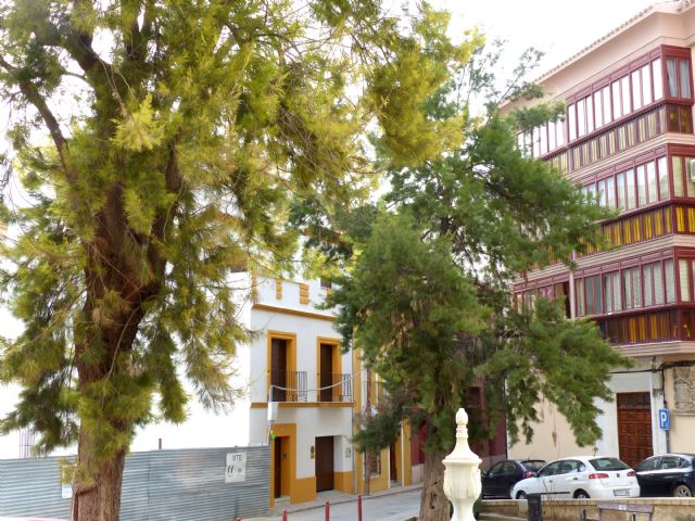 IU-V convoca para mañana una concentración contra la tala de los árboles de la Plaza del Ibreño - 2, Foto 2