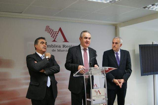 El PSOE consigue que la Asamblea inste al Gobierno de la Nación a que retire del recurso de inconstitucionalidad contra la modificación de la Ley de energías renovables - 1, Foto 1