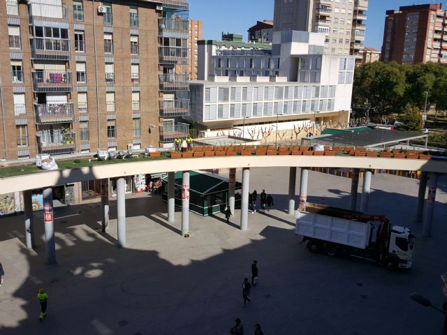 El Ayuntamiento embellece la Plaza de la Universidad con la plantación de vegetación en su pérgola - 1, Foto 1