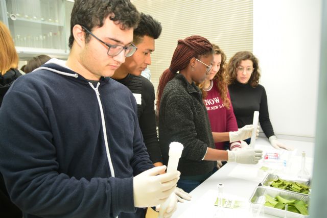 la UPCTEstudiantes de Bachillerato de quince institutos hacen prácticas agronómicas en las Rutas Biotecnológicas de la UPCT - 1, Foto 1