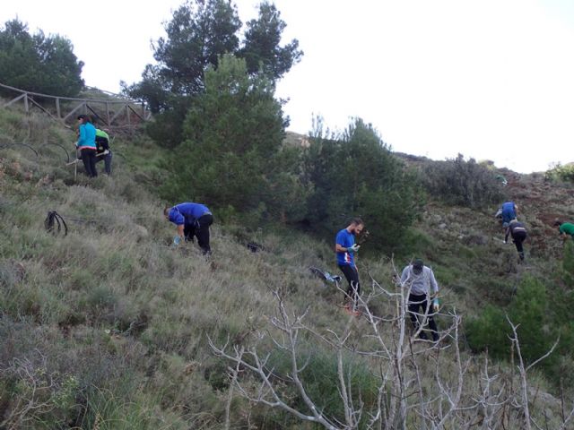 ARBA Cartagena concluye la temporada 2019-20 con la plantación de más de 3.000 árboles autóctonos en las sierras de Cartagena y La Unión - 1, Foto 1