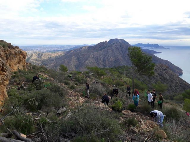 ARBA Cartagena concluye la temporada 2019-20 con la plantación de más de 3.000 árboles autóctonos en las sierras de Cartagena y La Unión - 4, Foto 4