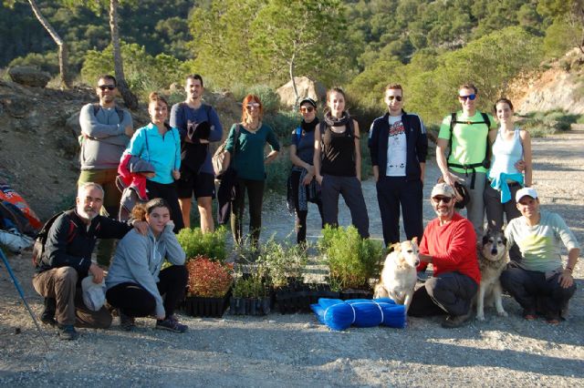 ARBA Cartagena concluye la temporada 2019-20 con la plantación de más de 3.000 árboles autóctonos en las sierras de Cartagena y La Unión - 5, Foto 5