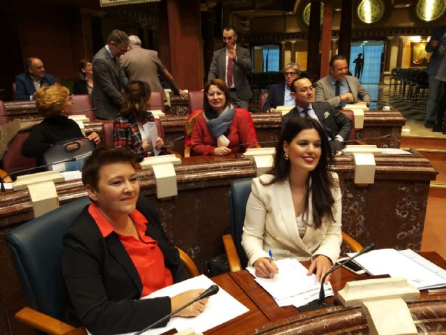 El PP subraya los 94,6 millones destinados a políticas de empleo y la inyección de 209 millones a la UMU y UPCT de los presupuestos de la consejería de Empleo, Investigación y Universidades - 1, Foto 1