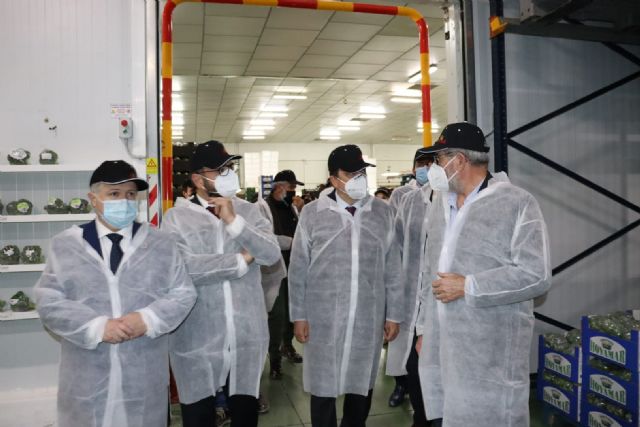 El alcalde de Lorca pone de manifiesto la importancia del sector hortofrutícula del municipio durante la visita del Ministro de Agricultura a la cooperativa agrícola Hoyamar - 1, Foto 1