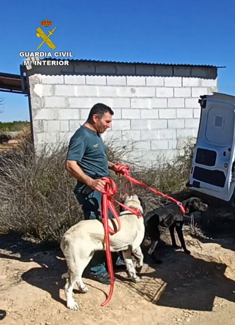 La Guardia Civil rescata a dos perros atrapados en una balsa de riego desaguada en Librilla - 4, Foto 4