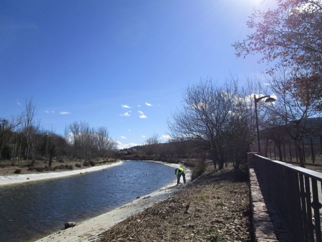 Los alumnos y alumnas del Programa Mixto 'Jardines de Bullas' continúan con las labores de mantenimiento en diferentes espacios ajardinados - 1, Foto 1