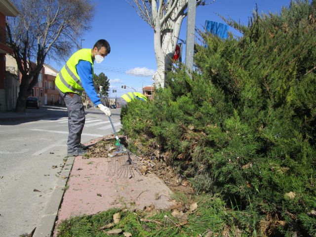 Los alumnos y alumnas del Programa Mixto 'Jardines de Bullas' continúan con las labores de mantenimiento en diferentes espacios ajardinados - 2, Foto 2