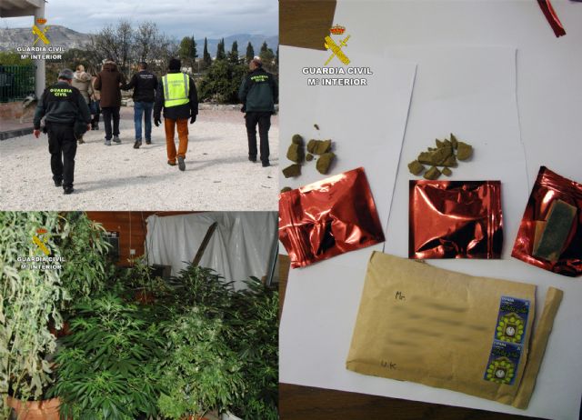 La Guardia Civil desarticula una organización criminal dedicada al cultivo y envío de sustancias estupefacientes a Reino Unido - 1, Foto 1