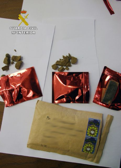 La Guardia Civil desarticula una organización criminal dedicada al cultivo y envío de sustancias estupefacientes a Reino Unido - 4, Foto 4