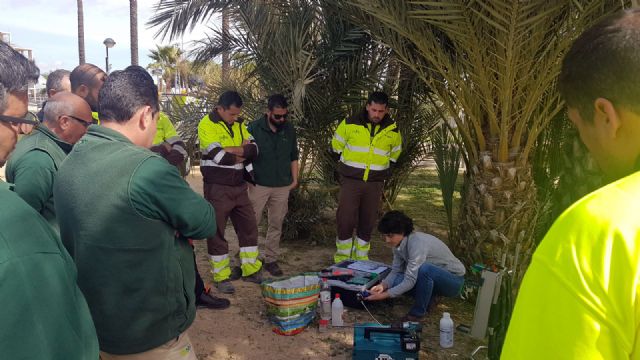 Más de una treintena de profesionales recibe formación complementaria sobre endoterapia - 1, Foto 1