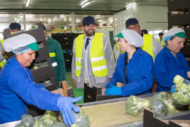 López Miras destaca la capacidad del sector agrícola para impulsar el cultivo ecológico, que supera ya las 80.000 hectáreas en la Región - 1, Foto 1