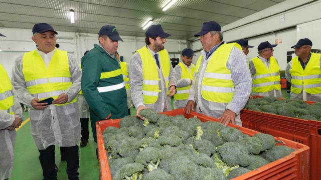 López Miras destaca la capacidad del sector agrícola para impulsar el cultivo ecológico, que supera ya las 80.000 hectáreas en la Región - 2, Foto 2