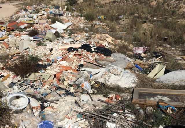 La Junta de Gobierno aprueba la limpieza de 15 vertederos clandestinos en el término municipal - 1, Foto 1